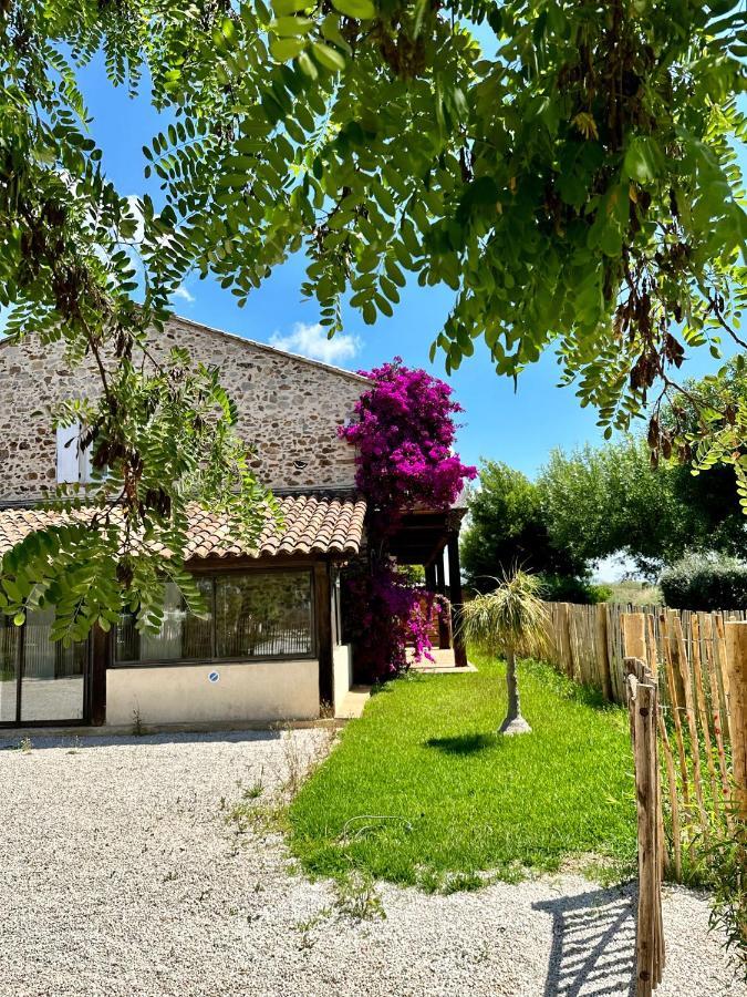 Grand Studio A 5Mns De La Plage Des Salins Hyères Kültér fotó